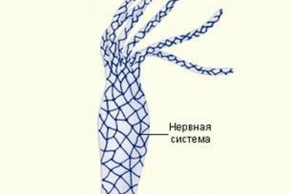 Kraken как найти ссылку