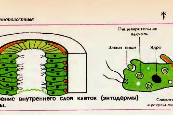 Кракен рабочая ссылка