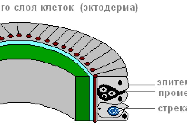 Официальный сайт кракен тор