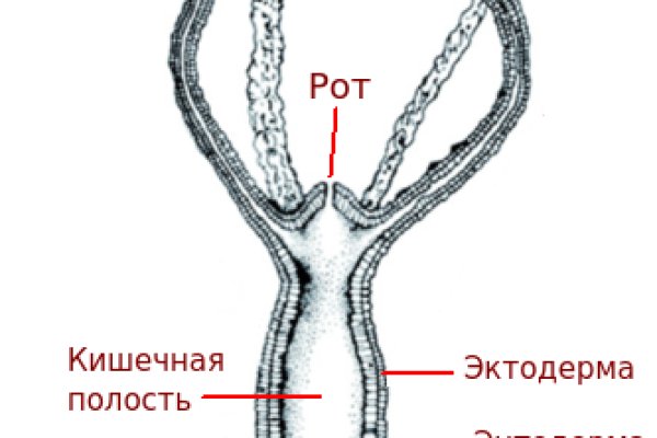 Кракен сайт биз