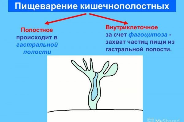 Аутентификатор кракен