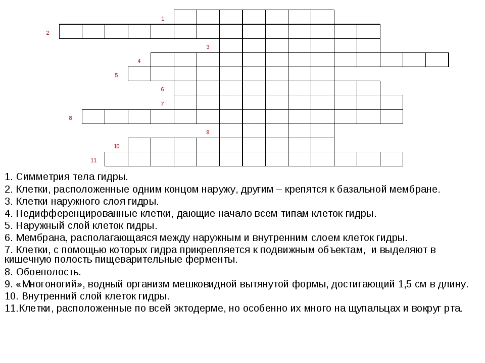 Дарк нет вход