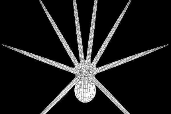 Маркетплейс кракен kraken darknet top